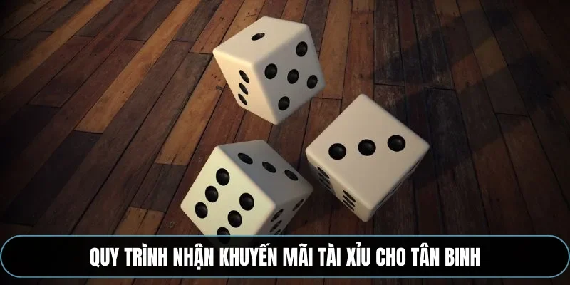 Quy trình nhận khuyến mãi tài xỉu cho tân binh